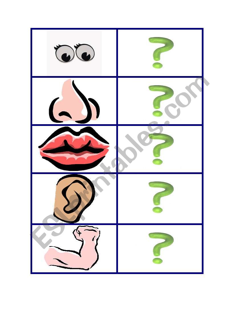 body parts memory game worksheet