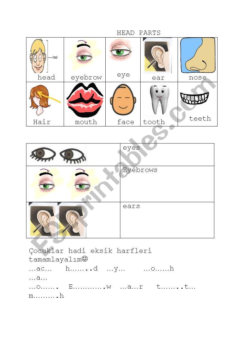 HEAD PARTS worksheet