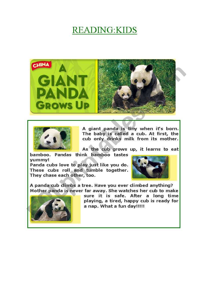 A GIANT PANDA  worksheet