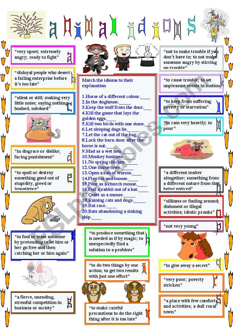 animal idioms 3 worksheet