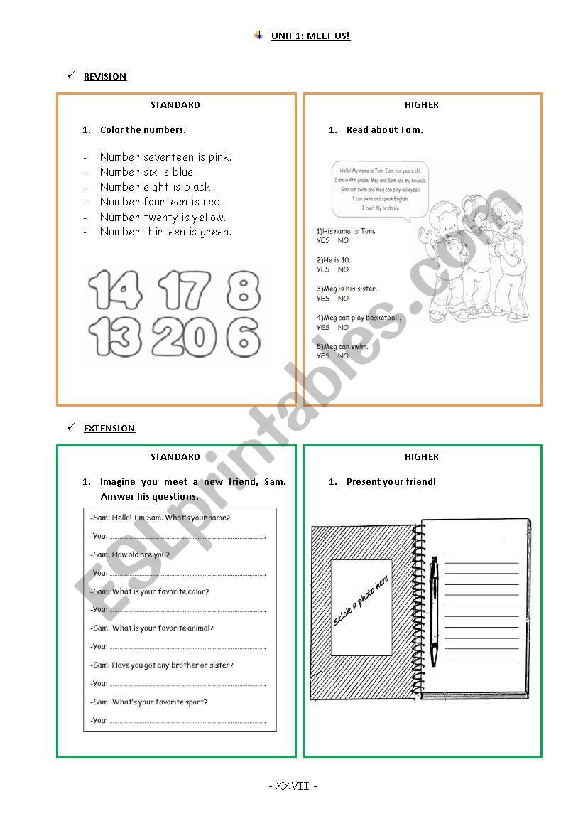 revision and extension activities