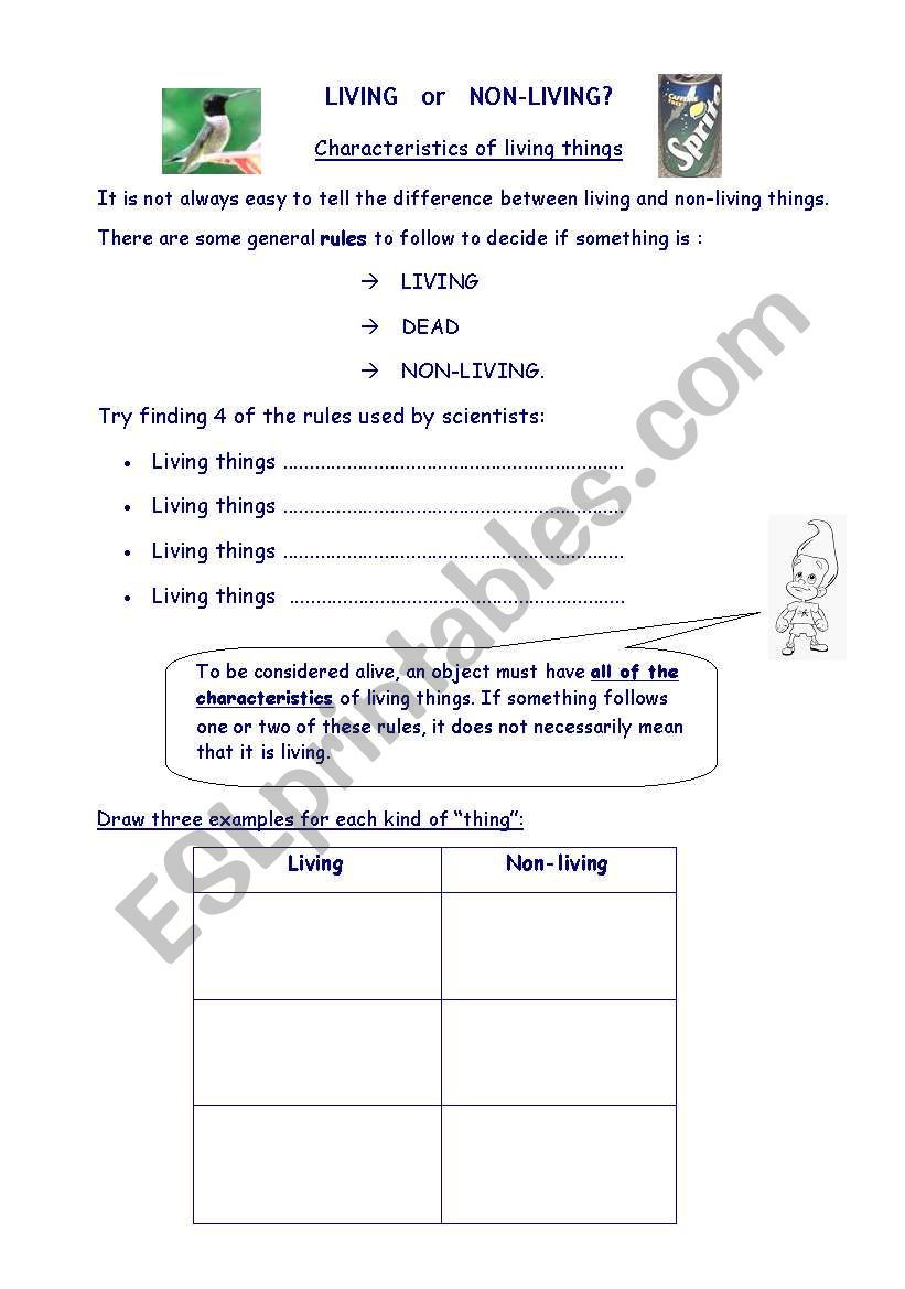 Living Non living worksheet