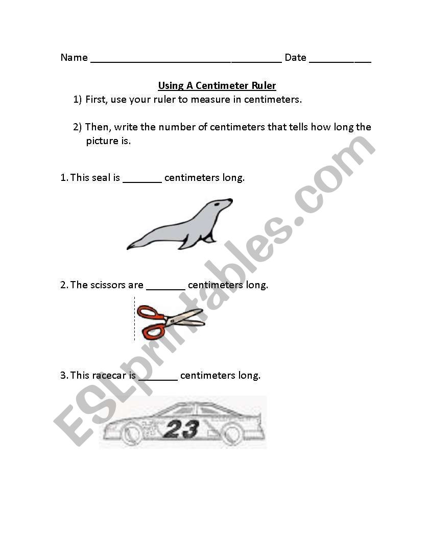 measurements worksheet