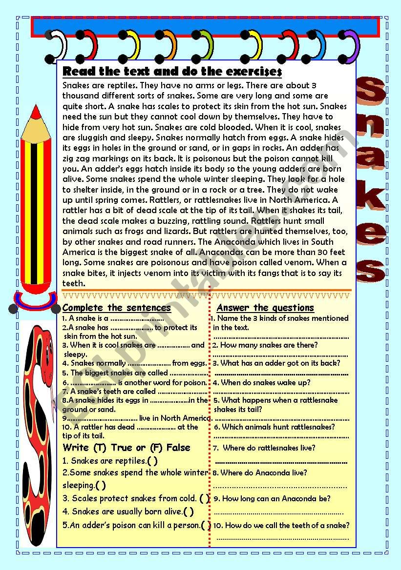 Snakes comprehension worksheet