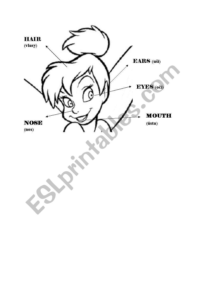 head worksheet