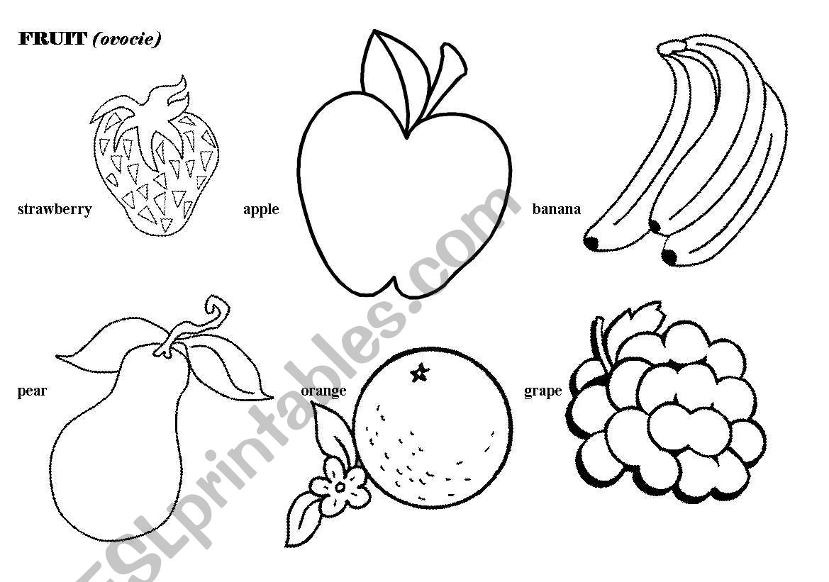 fruit worksheet