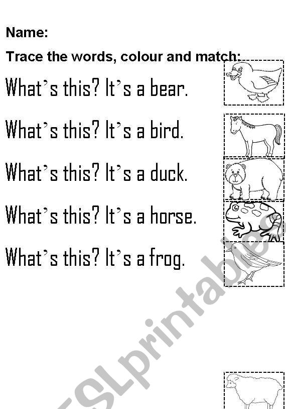 Brown Bear worksheet worksheet