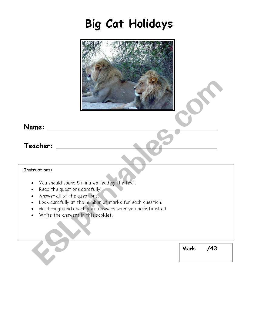 Big Cat Holidays worksheet