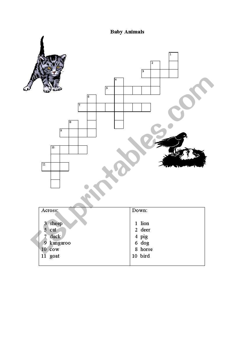 baby animal worksheet