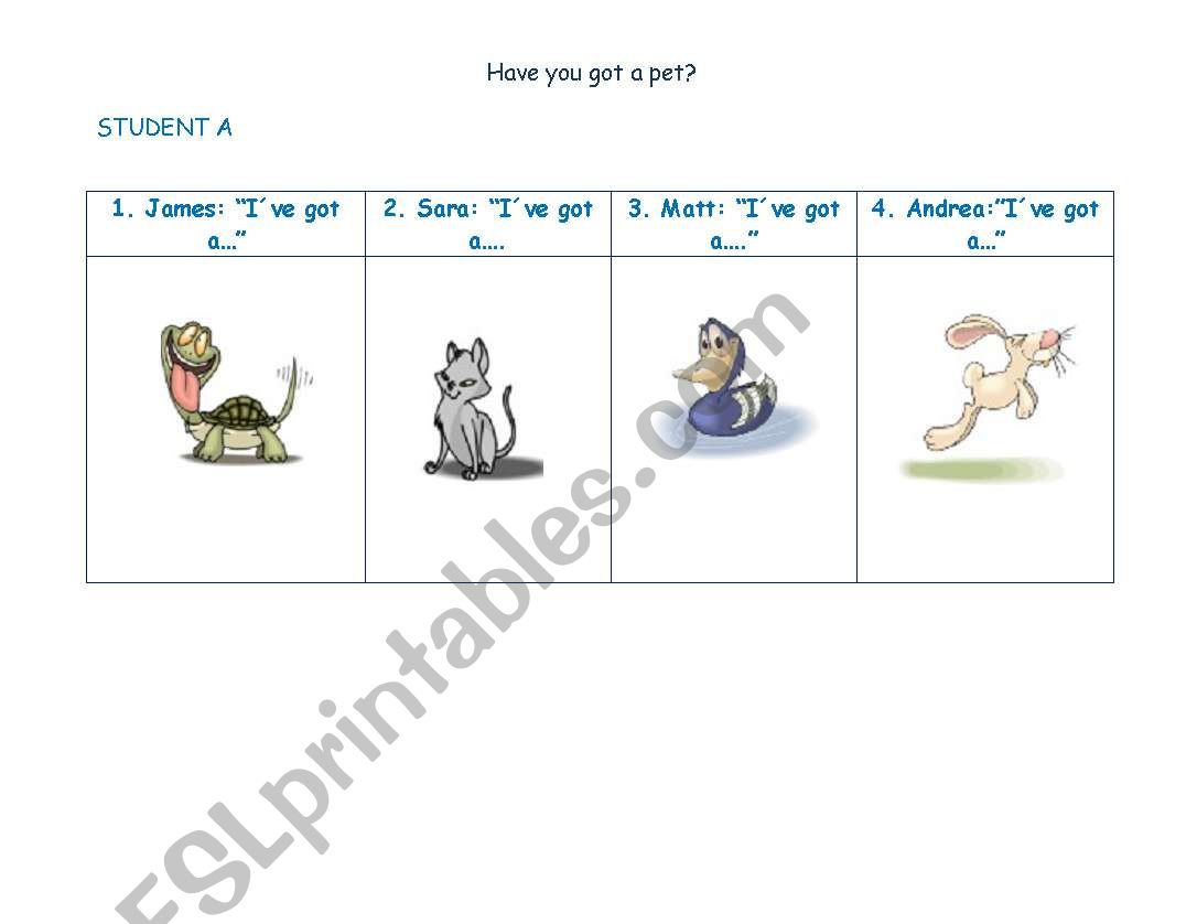  Ive got a pet! worksheet