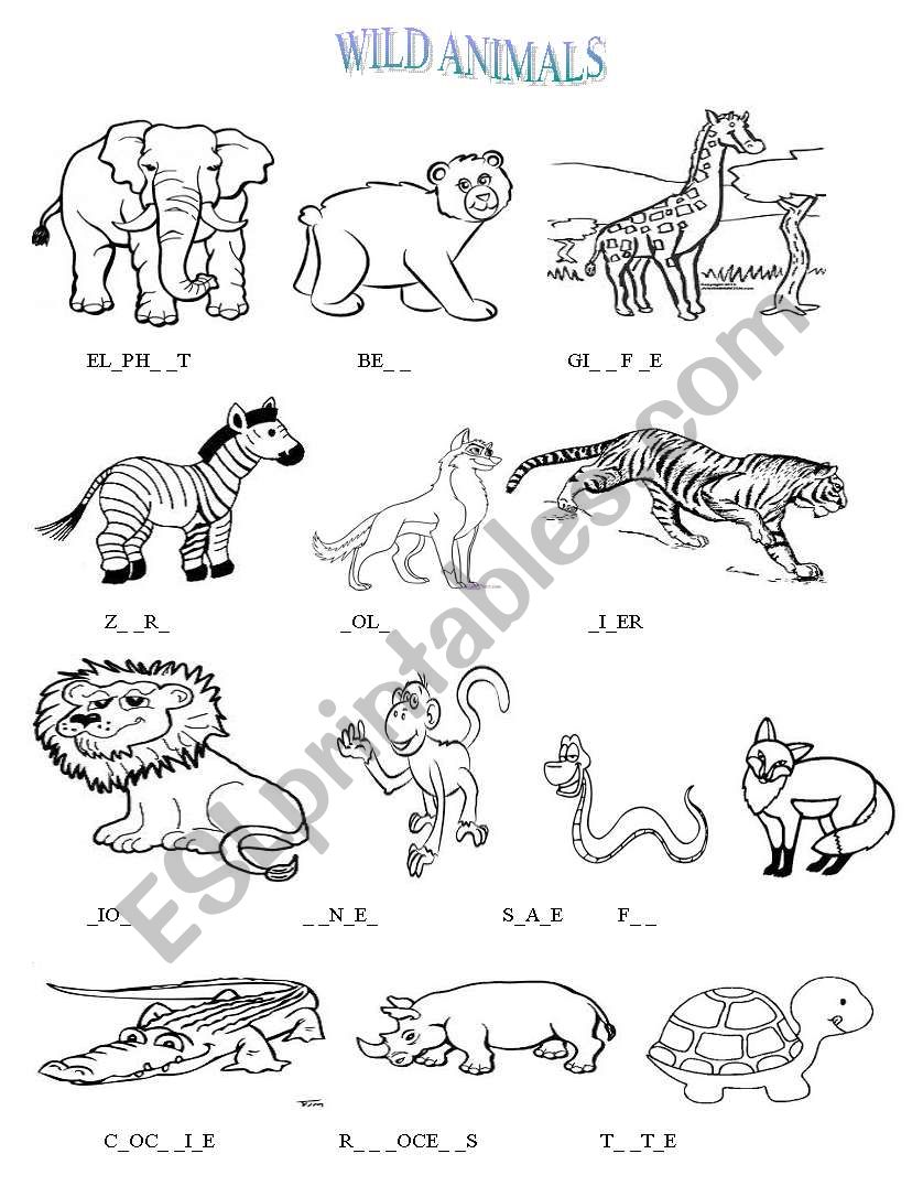 wild animals worksheet