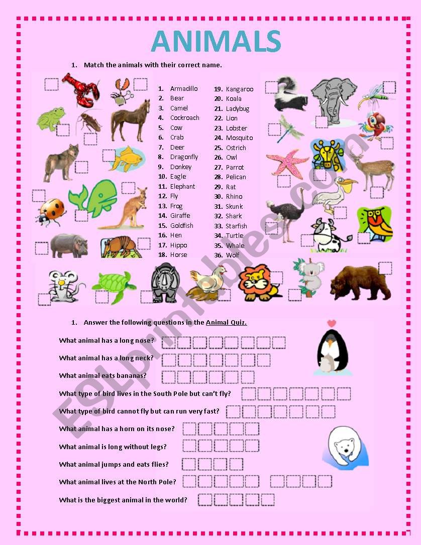 ANIMALS ACTIVITIES worksheet