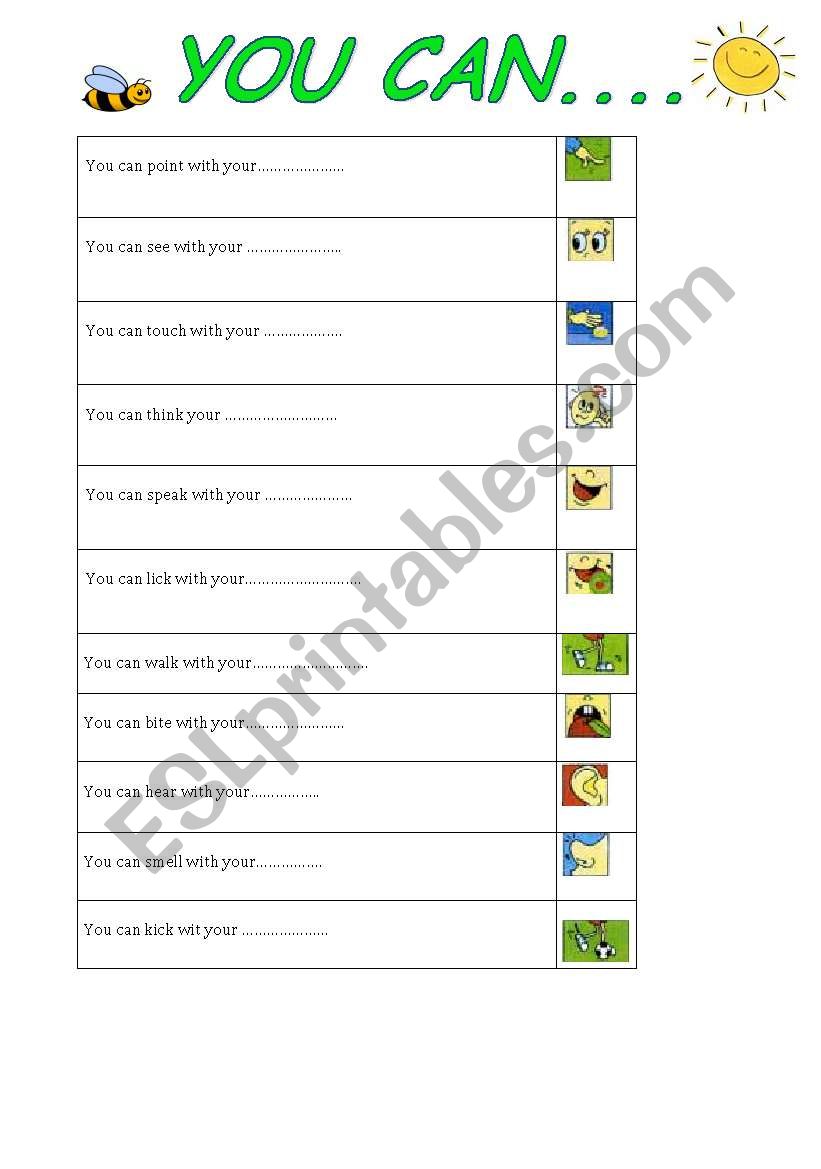 face parts and verbs worksheet