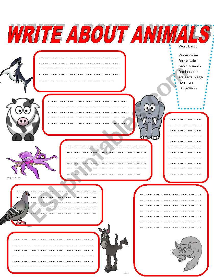 WRITE ABOUT ANIMALS worksheet