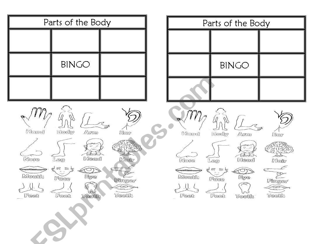 Body parts bingo worksheet