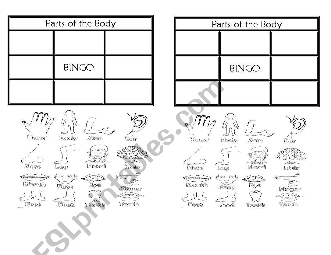 Body parts bingo worksheet