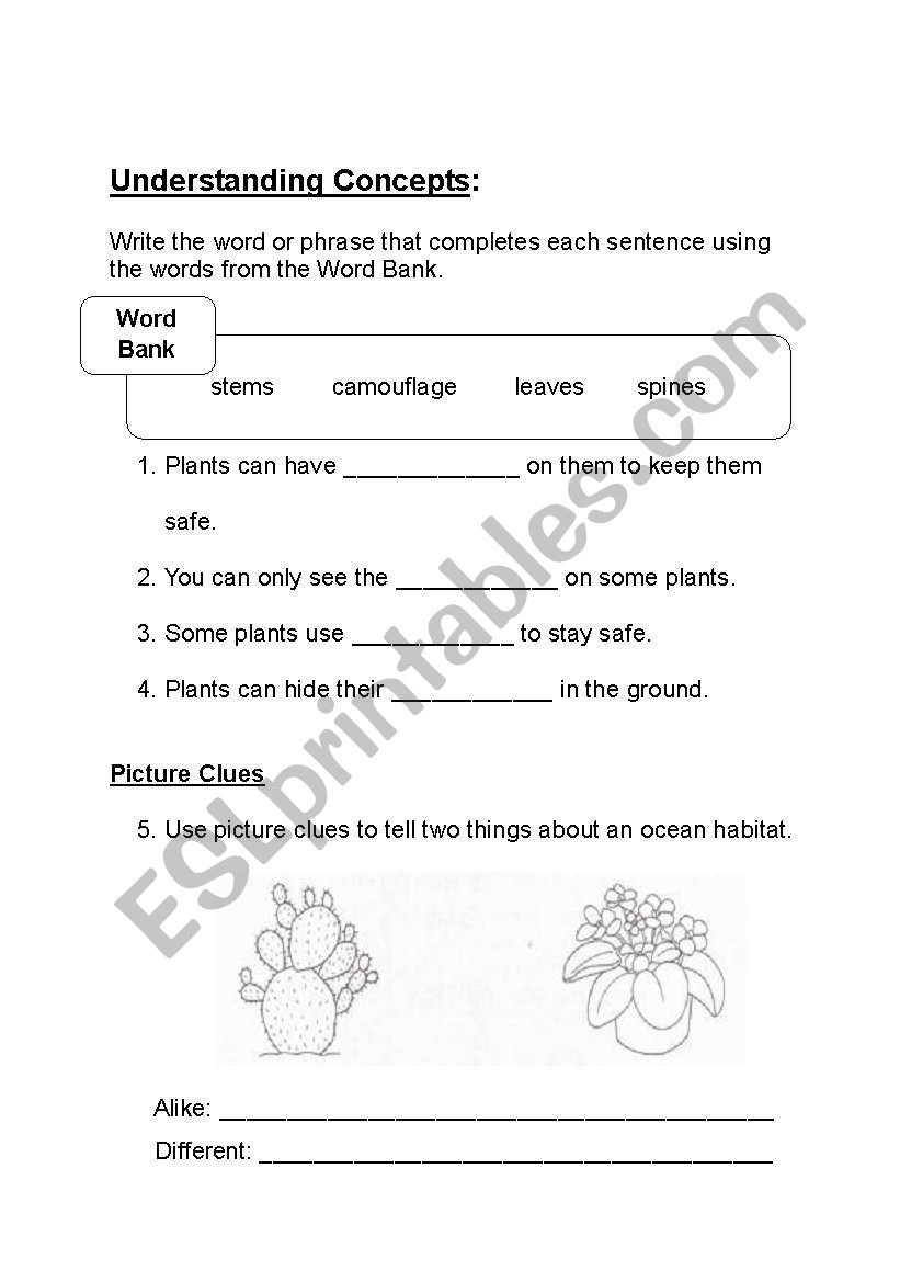What helps protect plants? worksheet