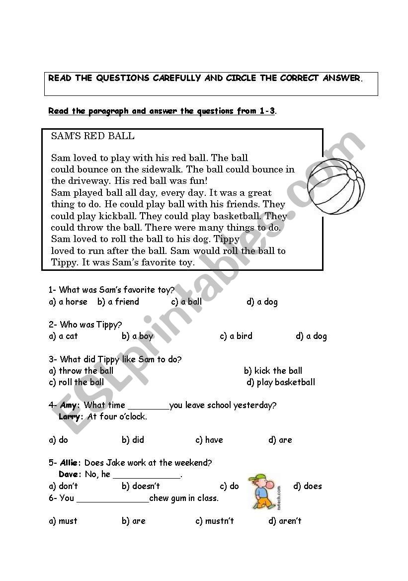 test for grade 5 students worksheet