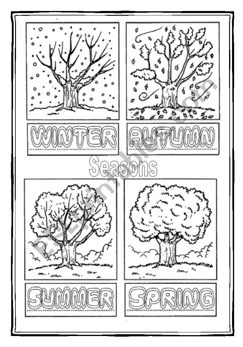 Seasons worksheet