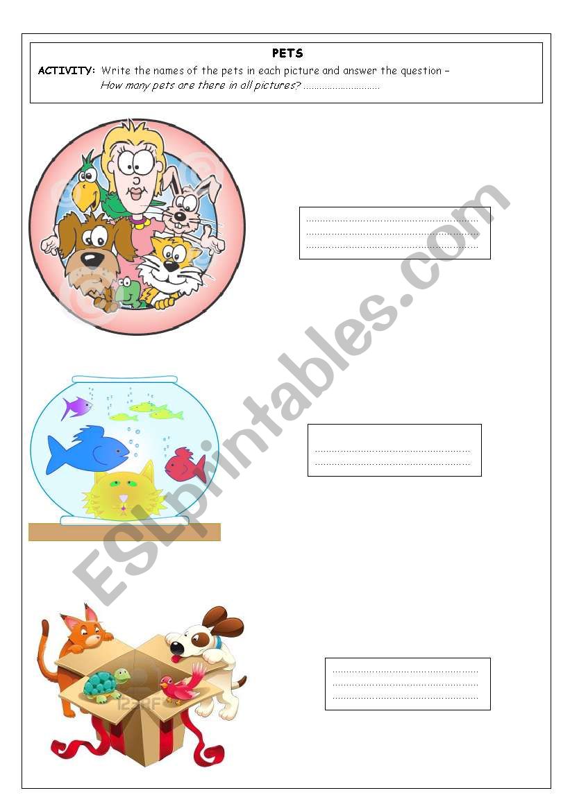 Pets worksheet