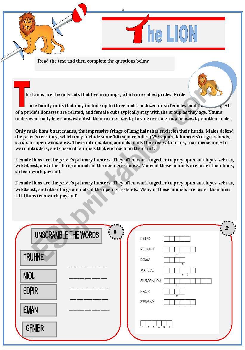 READING COMPREHENSION AND EXERCISES