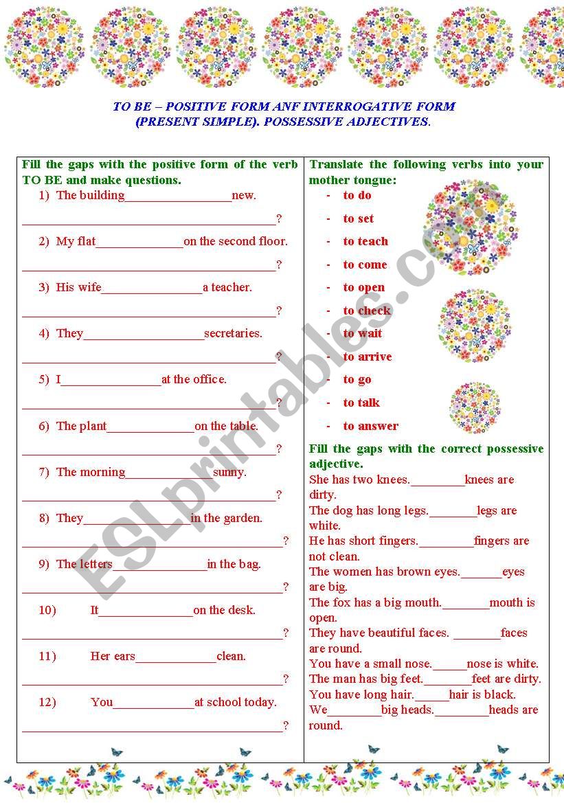 The verb TO BE (positve and interrogative form of Present Simple Tense) and possessive adjectives.