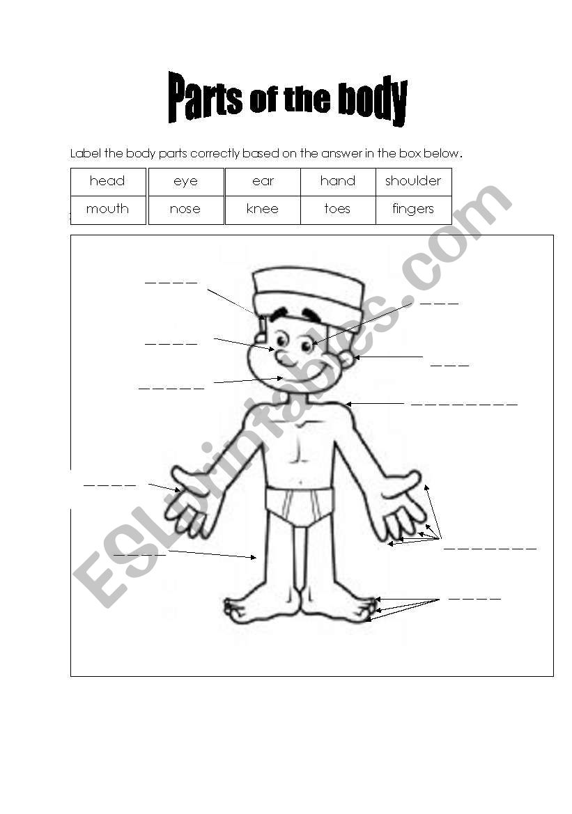 parts of the body worksheet worksheet