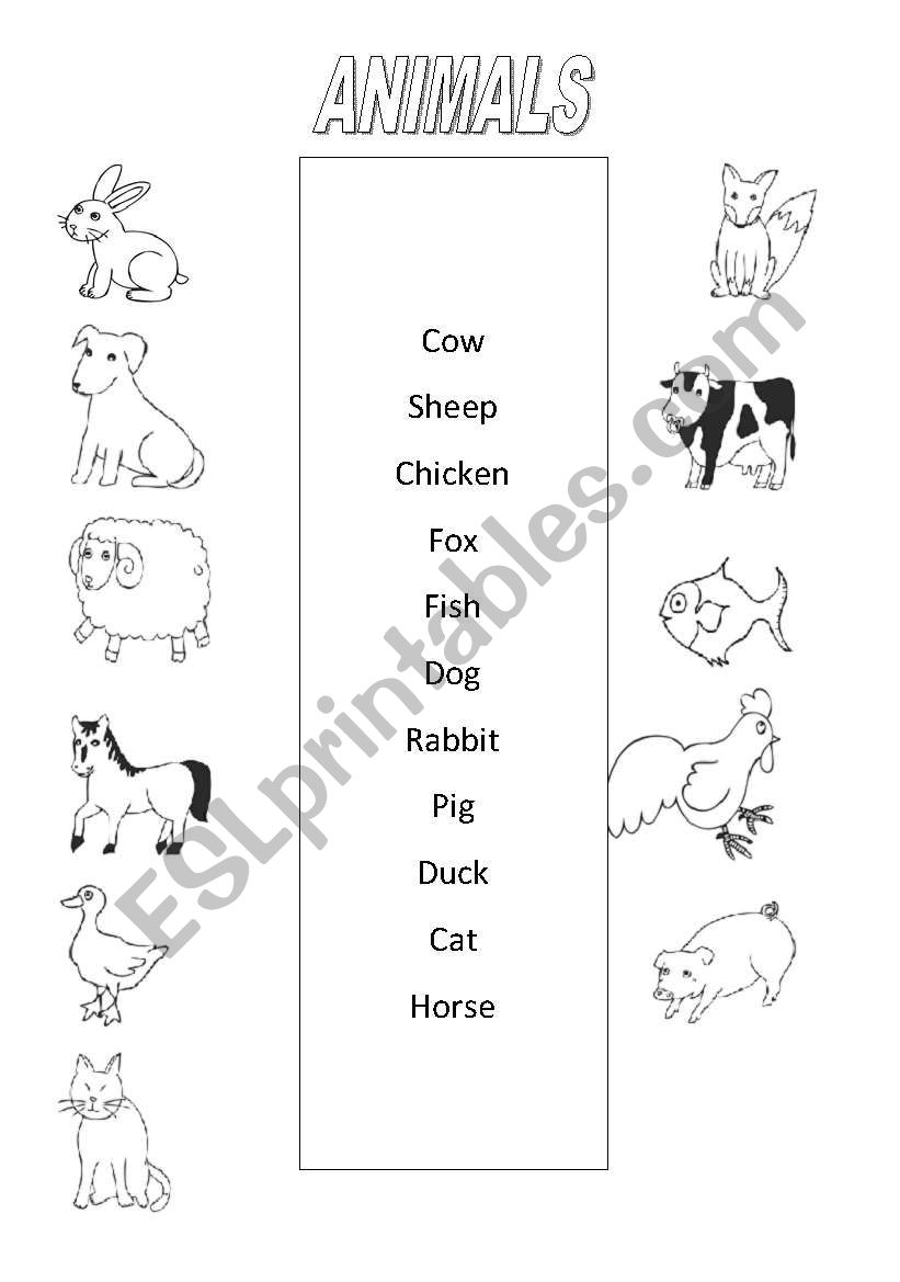 Animals worksheet