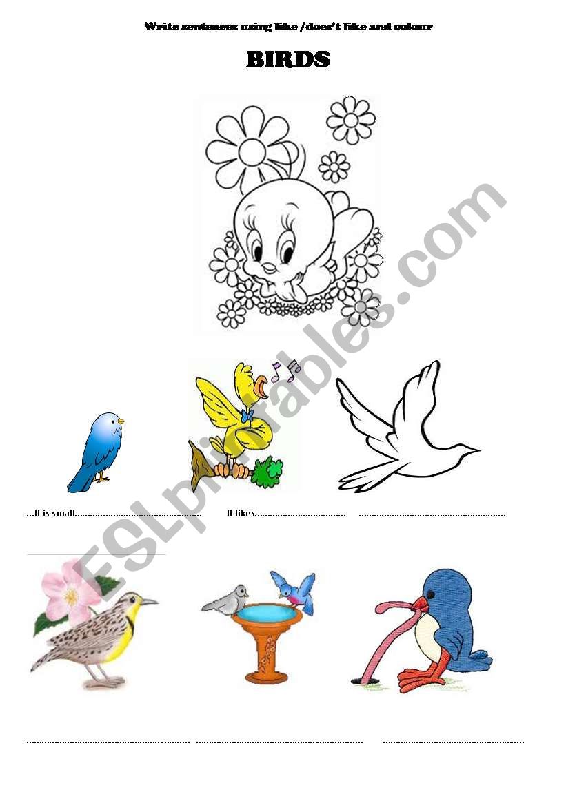 birds like/dislike worksheet