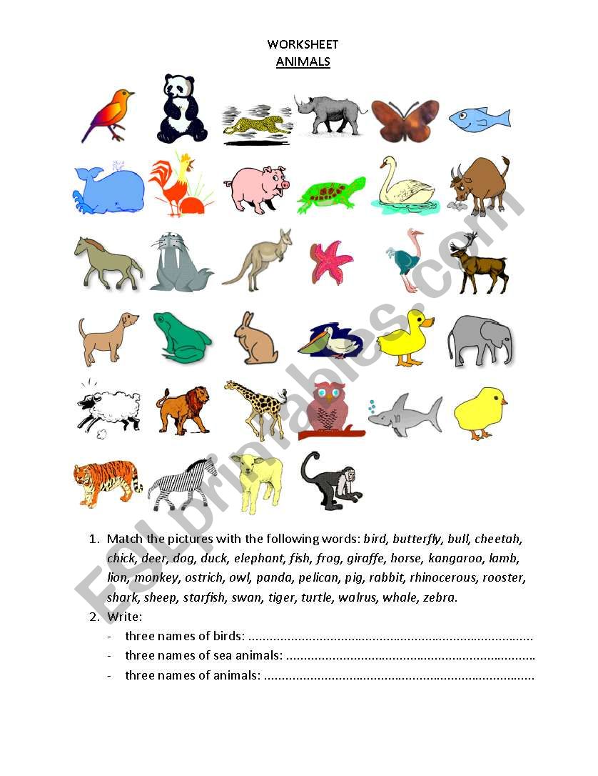 Animals worksheet