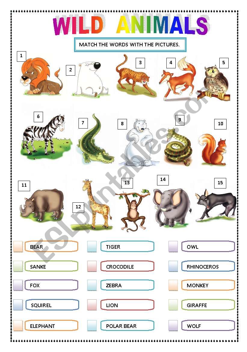 WILD ANIMALS - Matching worksheet