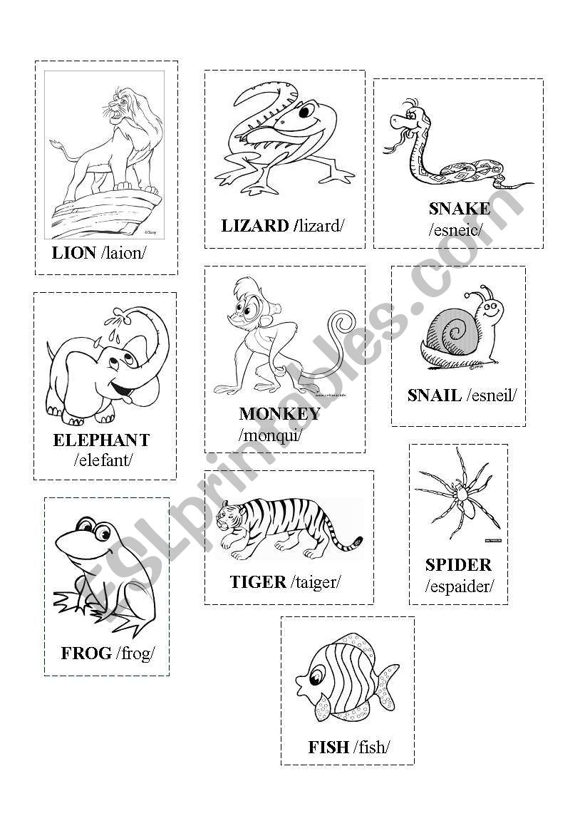 Animals worksheet