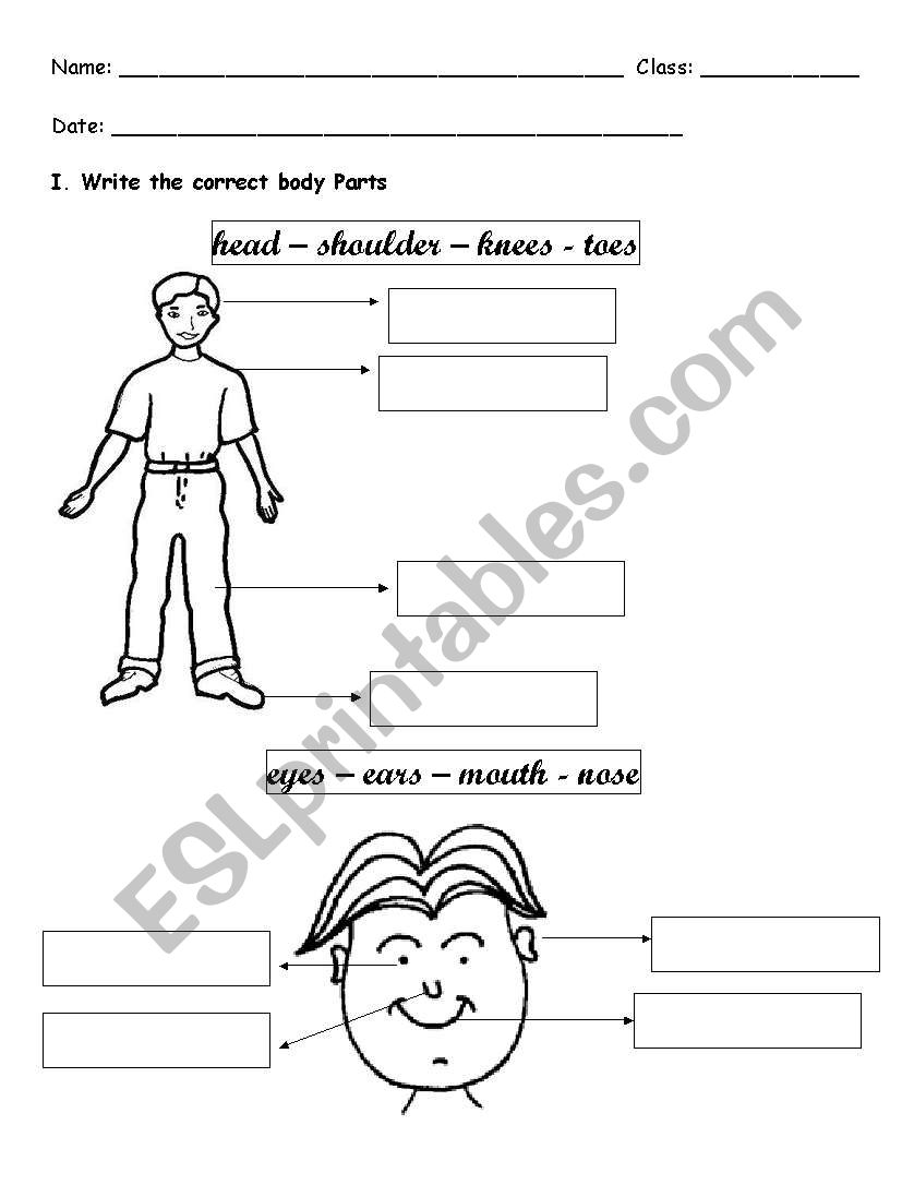 Body Parts exercise worksheet