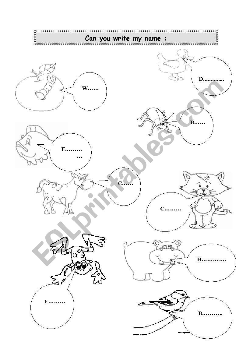 animals worksheet