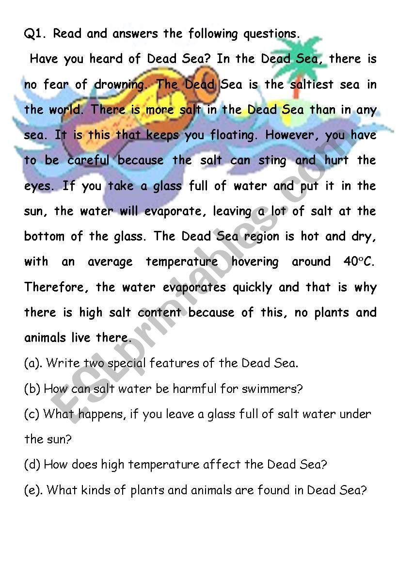 The Dead Sea  Reading Comprehension Plus Grammar Practice