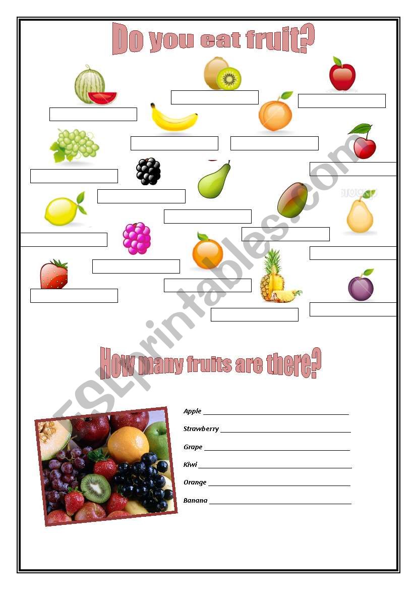 Fruit worksheet