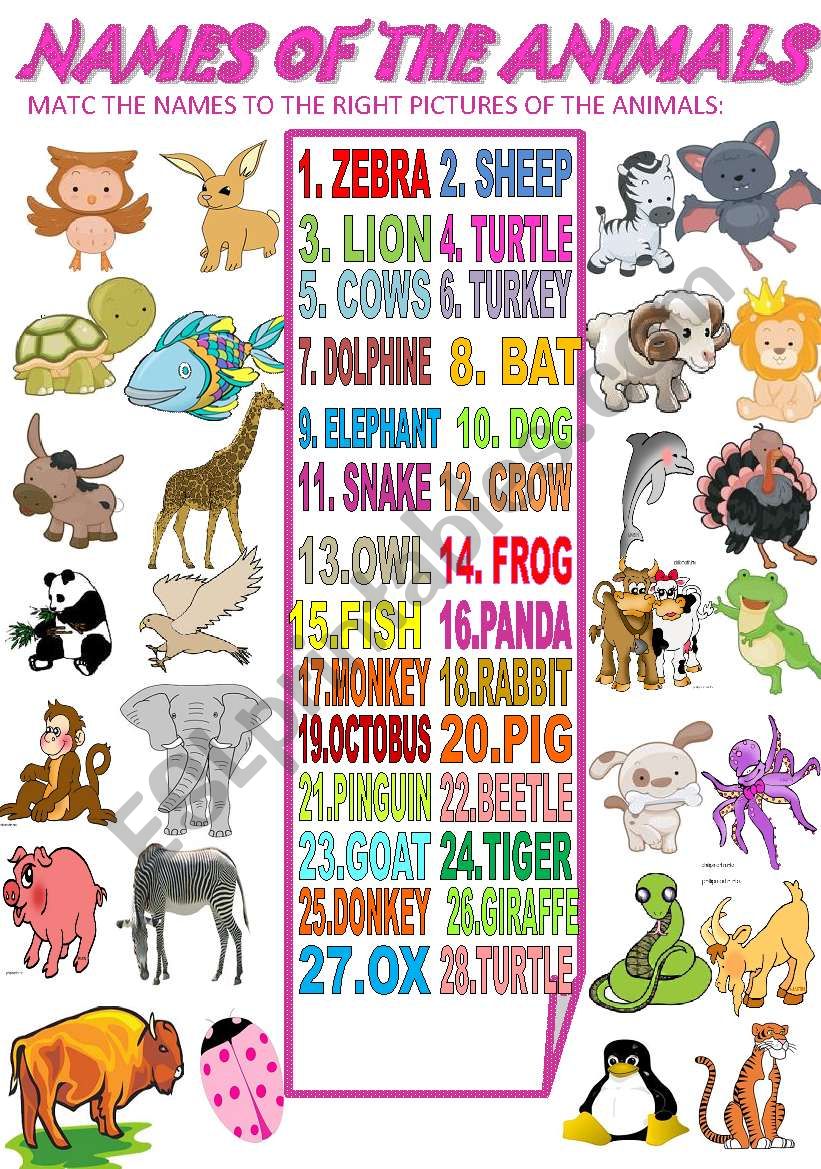 NAMES OF THE ANIMALS worksheet