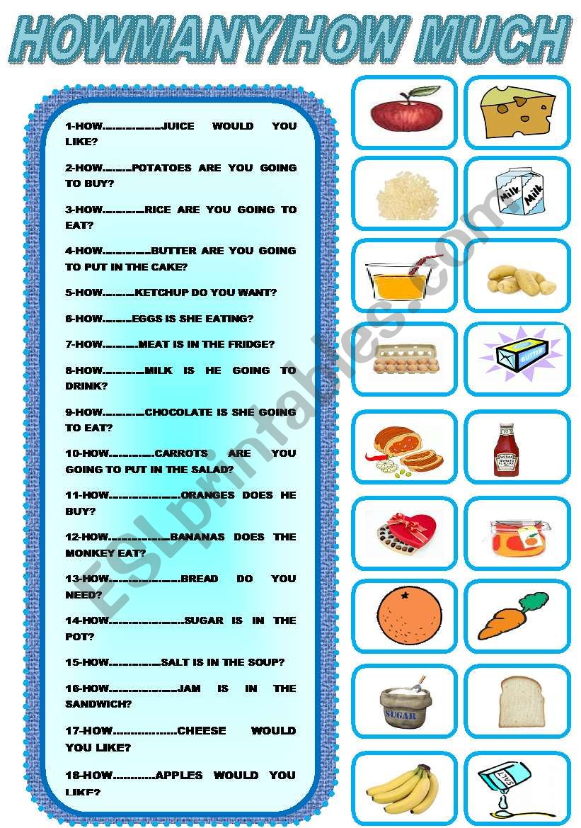 HOW MANY?/ HOW MUCH? worksheet