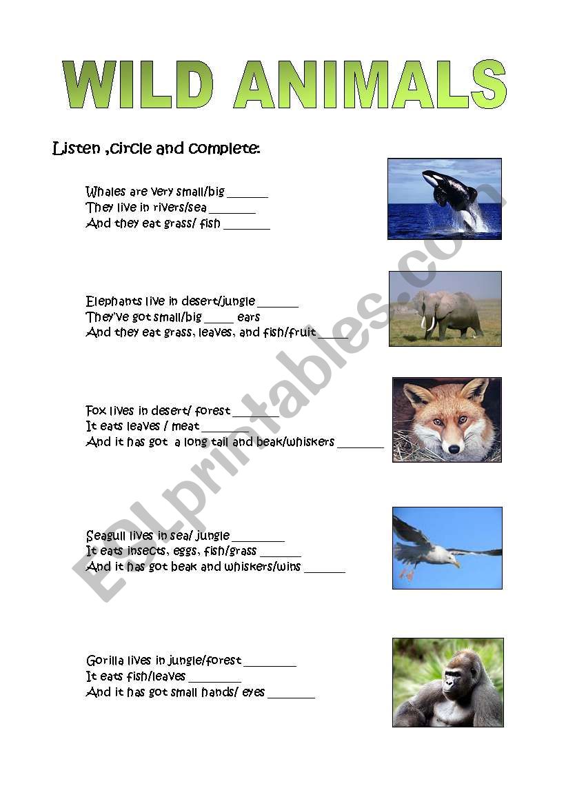 Wild animals worksheet