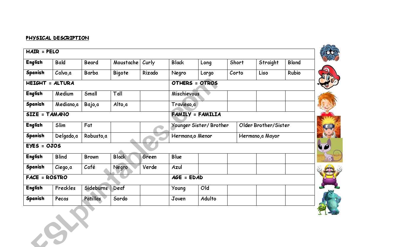 Physical Description Summary worksheet