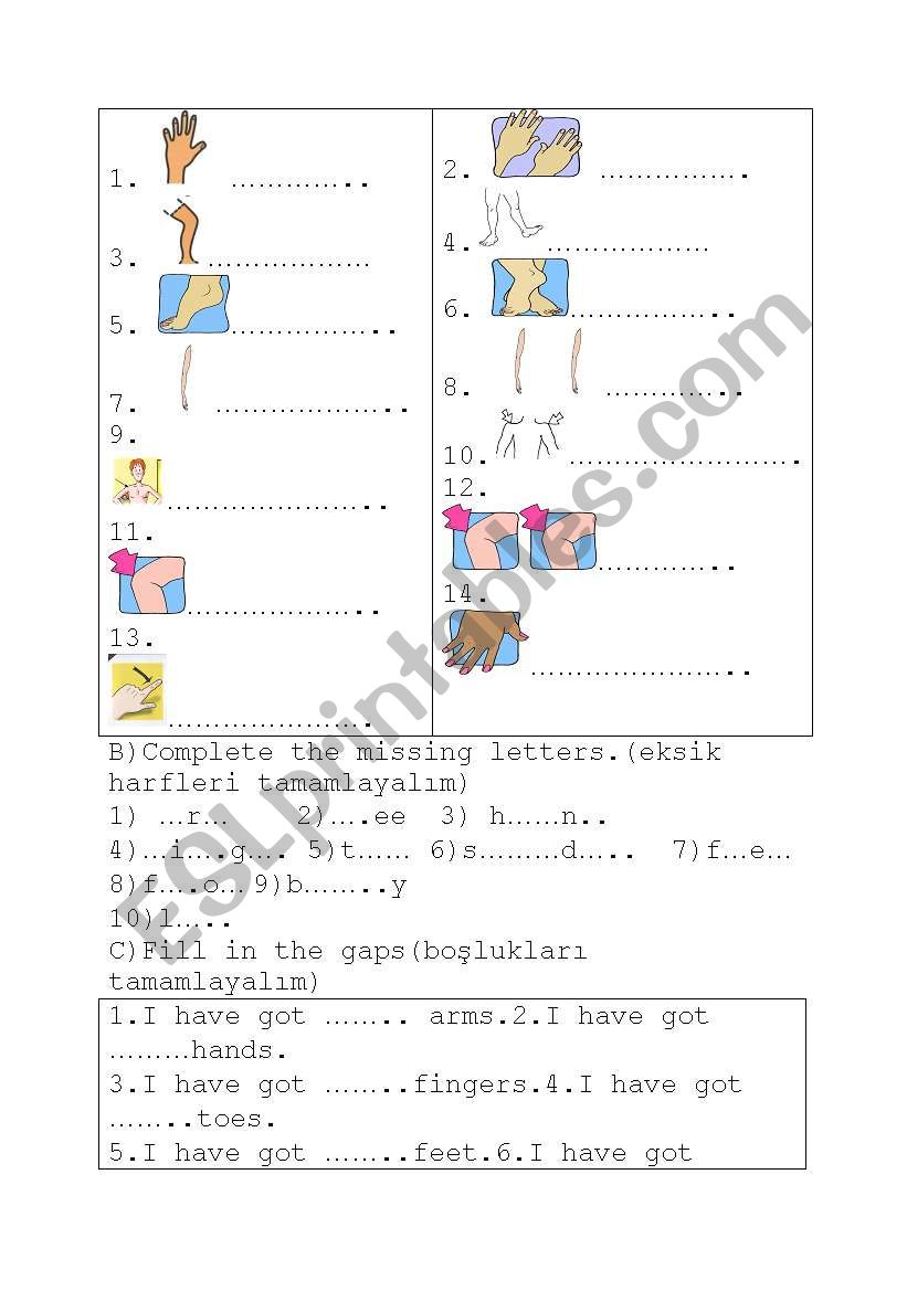 body parts 2 worksheet