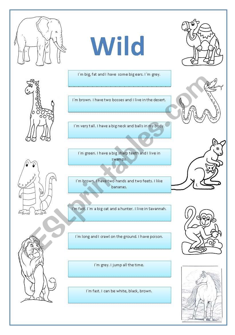 Animals worksheet