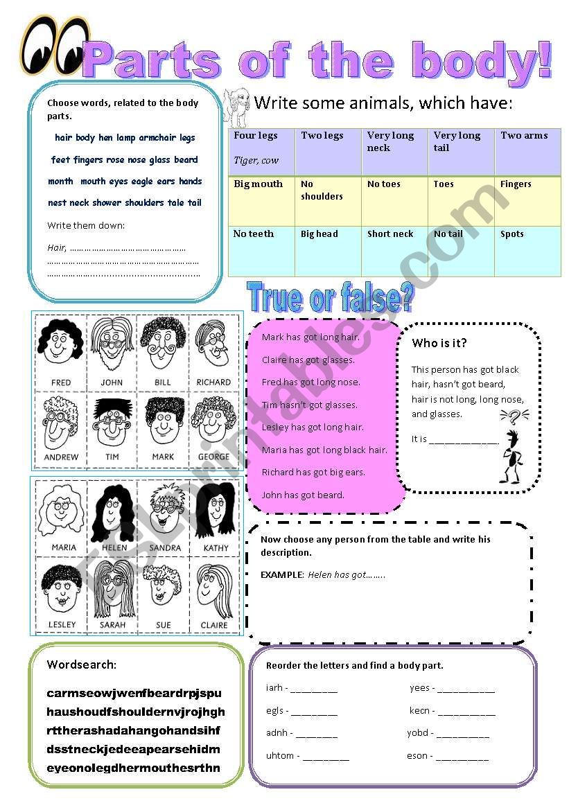 Parts of the body worksheet