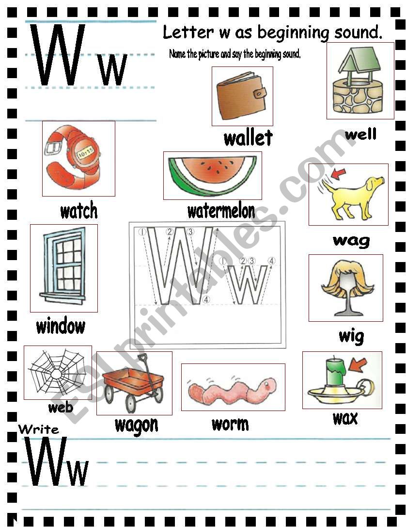 ABC- letter Ww and sentences worksheet
