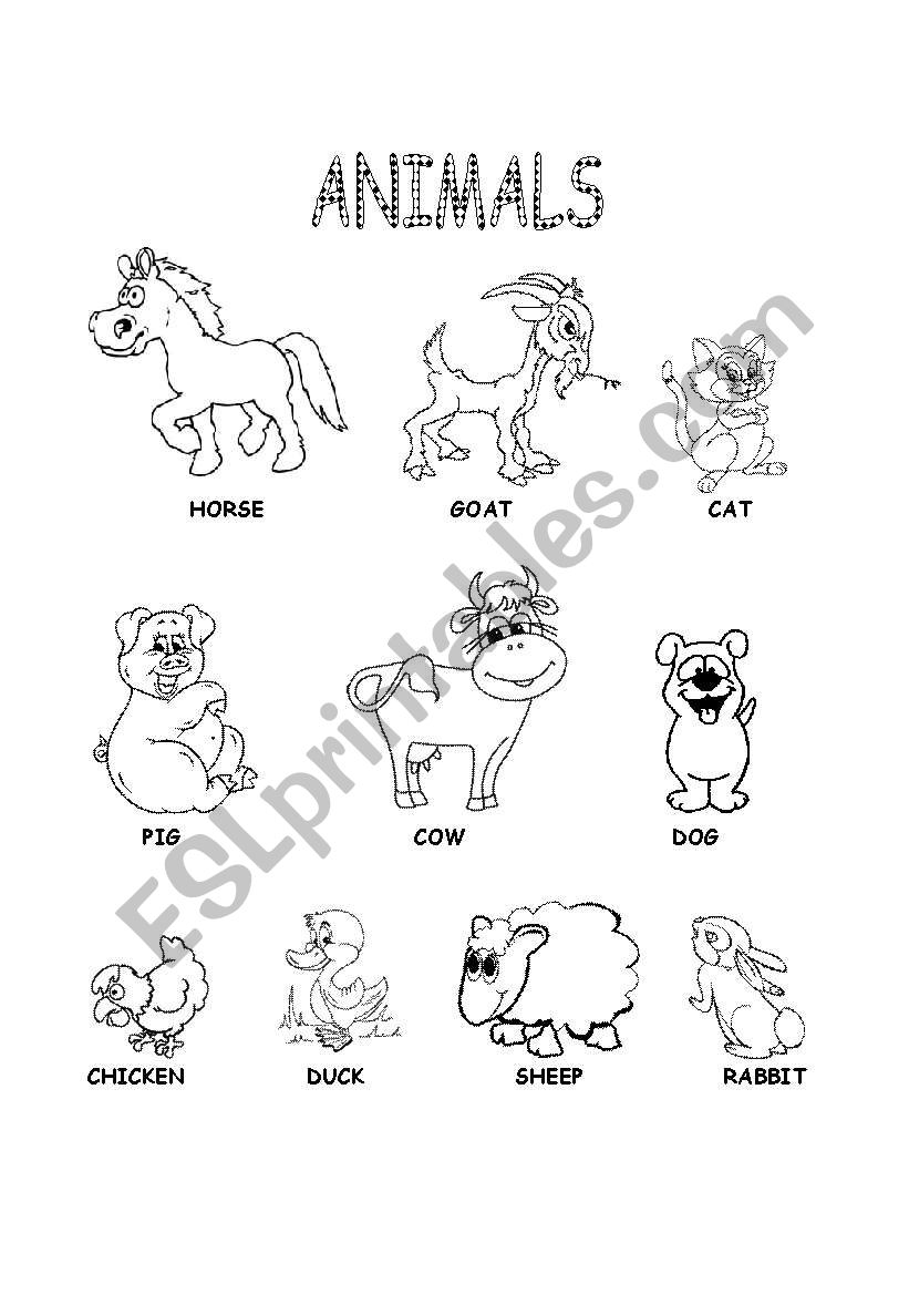 English worksheets: Animals worksheet