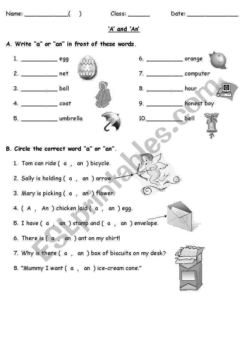 a or an? worksheet