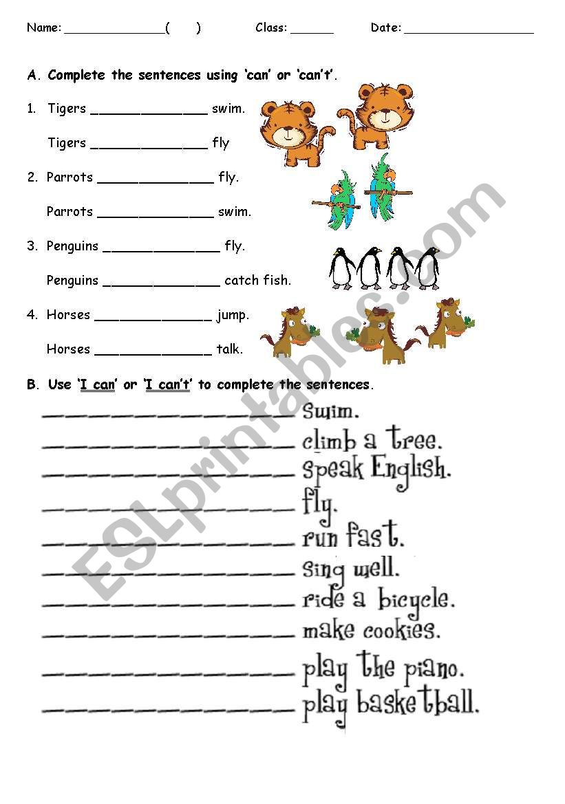 can / cannot worksheet