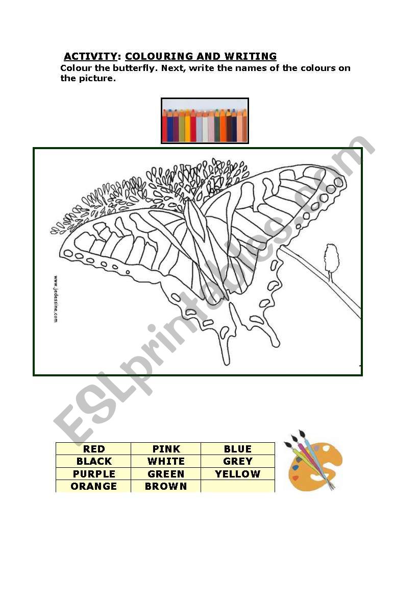 COLOR BUTTERFLY worksheet