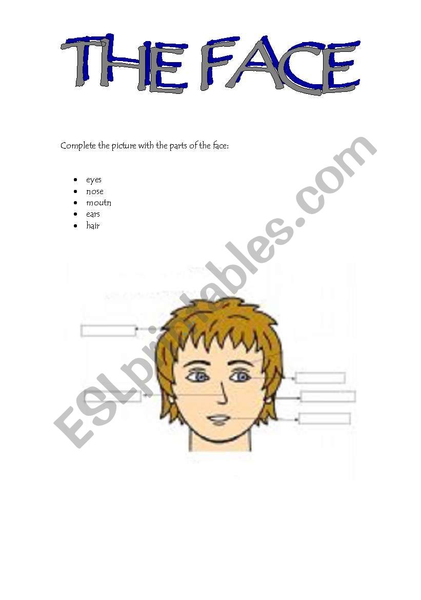 The Face worksheet