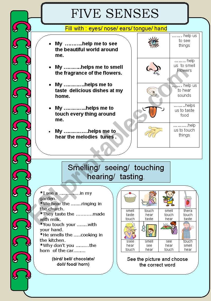 Five senses worksheet